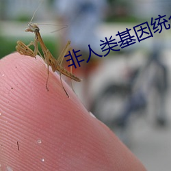 非人类基因统合体 （枪声刀影）