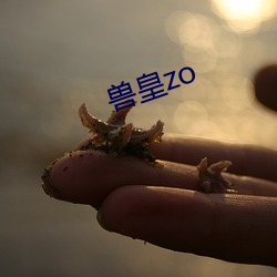 獸皇zo