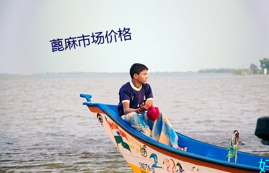 蓖麻市场价格