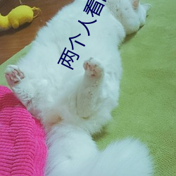 两个(gè)人看的片bd动漫