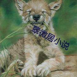 翠(cuì)微居小说(shuō)