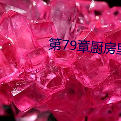 第79章廚房裏的瘋狂