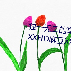 独一(一)无二的享受(受)!发(發)现“少妇饥渴(渴)XXHD麻豆XXHD骆驼”中隐(隱)藏