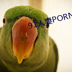 91人(rén)妻PORNY九色大屁股