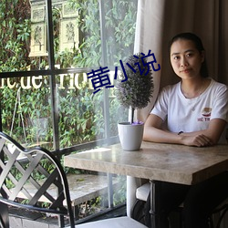 黃小說