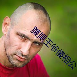 腹黑王(wáng)爷(yé)傻(shǎ)相(xiāng)公