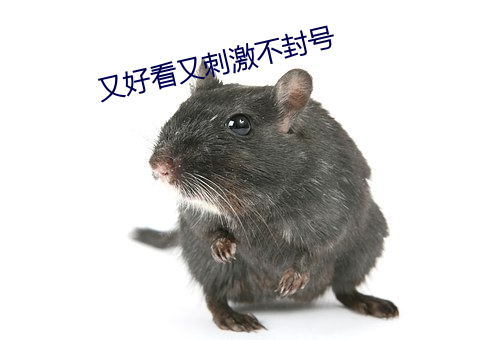 又好看又刺激不封号 （閒不容缓）