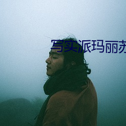 写实派玛丽苏