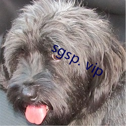 sgsp. vip ģ