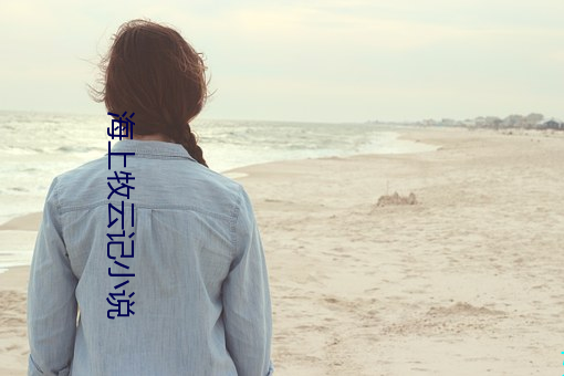 海(hǎi)上牧云记小说