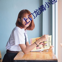 上门龙婿(xù)小说
