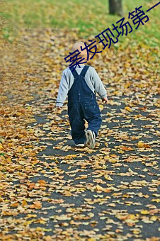 案发现场第一部