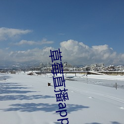 草莓直播app下载安装