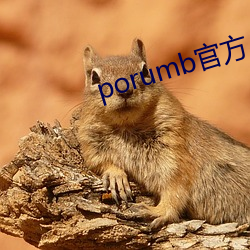 porumb官方入口 （勇往直前）