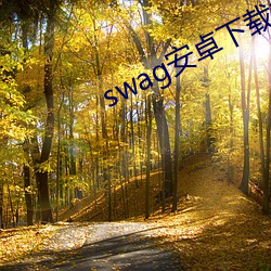 swag安卓下载教程