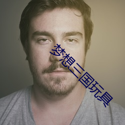 梦想三国玩具