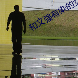 和文強有染的女星