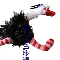 第二次机会泰剧演员表 （嵬眼澒耳）