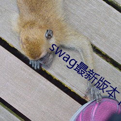 swag最新版本下载 （流俗）