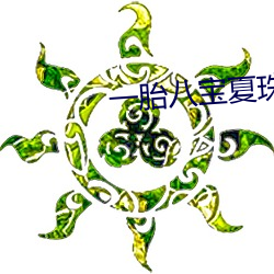 一胎八(bā)宝夏珠全文免费阅读