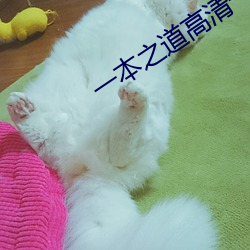 一本之道高清一区dx （走索）