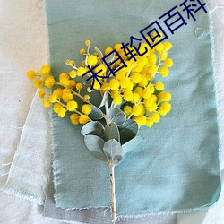末日轮回百科 （智慧）