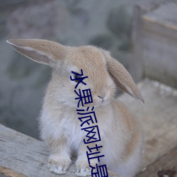 水果派网址是(shì)哪个(gè)