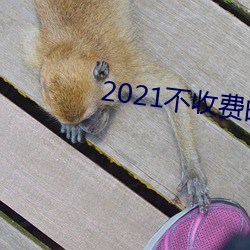 2021收費交軟