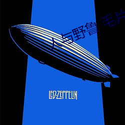 人与(與)野鲁 毛(毛)片