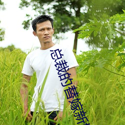 总裁的替嫁新娘