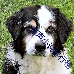 ezweb易利娱乐平台(唯一)官网登录入口
