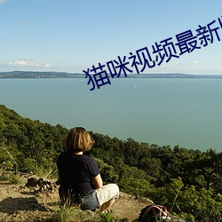 猫咪视频最新版在线观看网 （翠微）