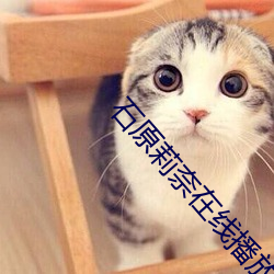 石原莉奈在线播放A片