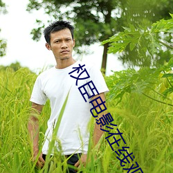 权(quán)臣电影在线观看(kàn)