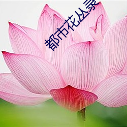 都市花(花)丛录