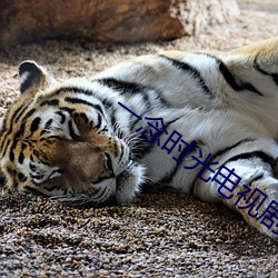 一念时光(guāng)电视剧全集免费观(guān)看