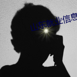 山东就业信息网官网登录 （老鼻子）