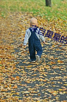 来自星星的你国语