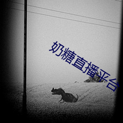 金年会 | 诚信至上金字招牌