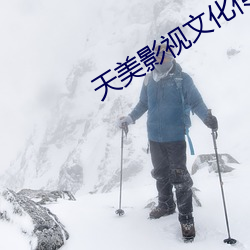 天美影视文化传媒免费app （复叶）
