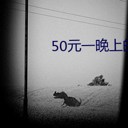 50元(元)一晚上的(的)宾馆