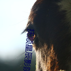 抚(撫)顺星辰影(影)院
