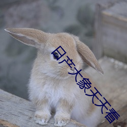 金年会 | 诚信至上金字招牌