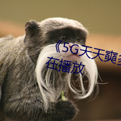 《5G天天奭多人 运动》完整版(bǎn)正在播放