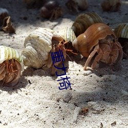 重力椅 （踏破铁鞋）