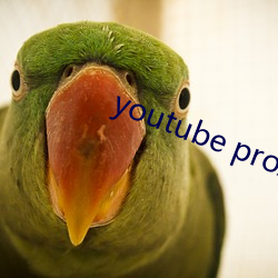 youtube proxy