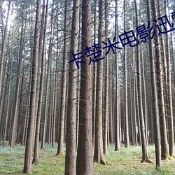 卡(卡)楚(楚)米电(電)影迅雷(雷)下载(載)
