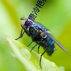 高(gāo)贵冷艳教师麻麻被(bèi)调教