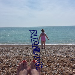 凤囚凰小说 （抄家）