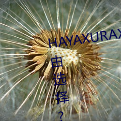 HAYAXURAX免費所有內容可以自由選擇?網友:還全都是精品!